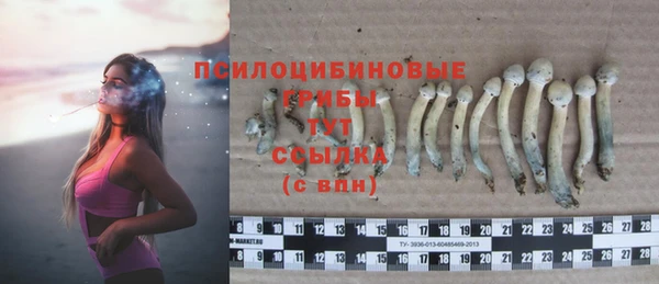 дурь Верхнеуральск