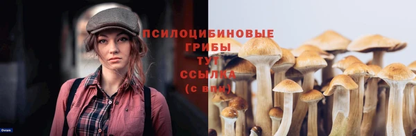дурь Верхнеуральск
