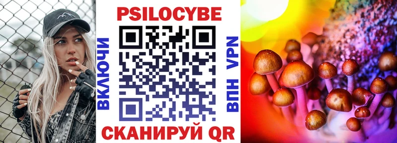 ссылка на мегу маркетплейс  где купить наркоту  Перевоз  Псилоцибиновые грибы Magic Shrooms 